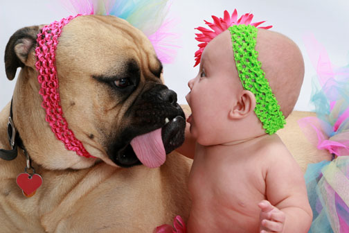 Bebés y perros