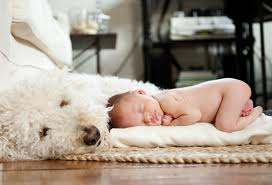 en-casa-con-el-bebe-y-la-mascota