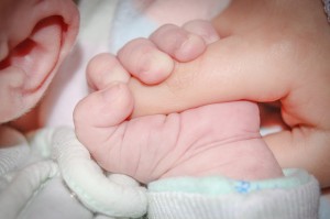 Las primeras 30 horas, claves para conocer la viabilidad del embrión