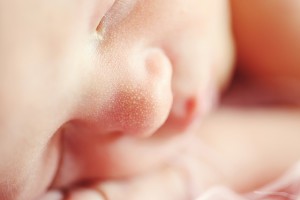 Según un estudio, con óvulos congelados se obtienen menores tasas de nacimientos