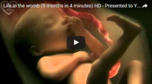 Los nueve meses del embarazo en cuatro minutos