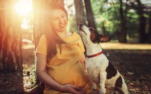 Las mascotas reconocen a una mujer embarazada